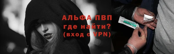 прущие грибы Арсеньев