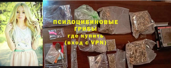 прущие грибы Арсеньев