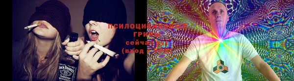 ECSTASY Армянск