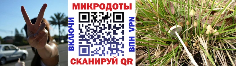 Галлюциногенные грибы прущие грибы  Новый Оскол 